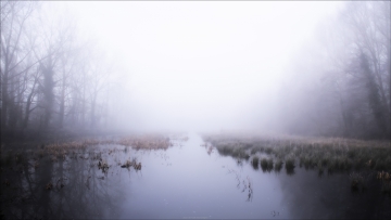 Foggy © Jorn Brewaeys