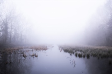 Foggy © Jorn Brewaeys