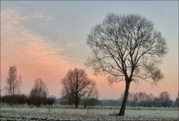 Roze lucht © Stefanie Wille