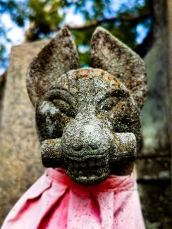 Stone dog at Fushimi Inari