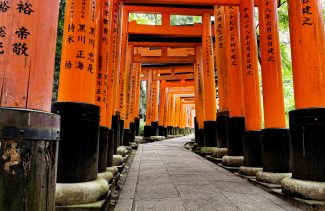 Large gates at Fushimi Inari