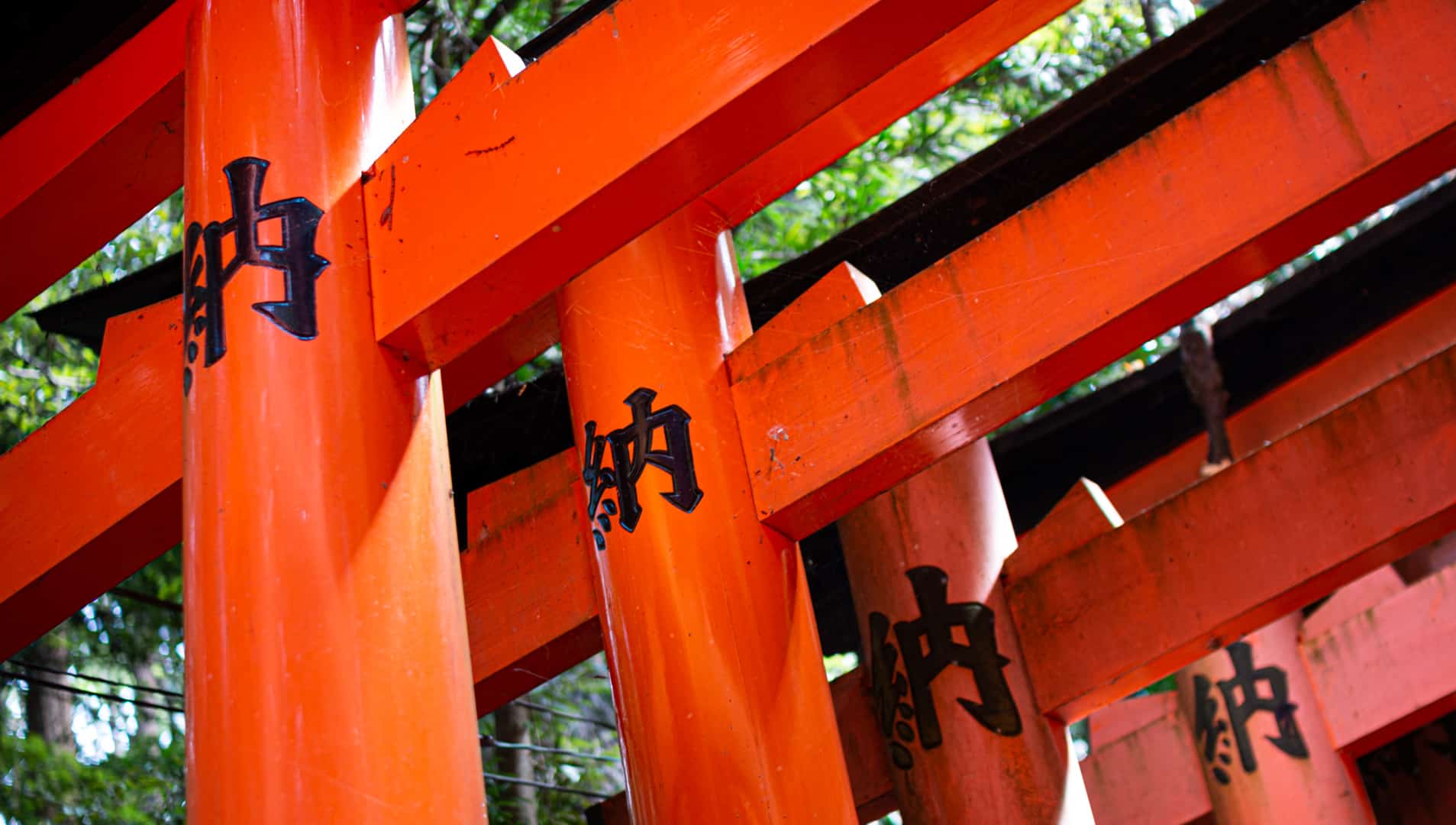 Red gates at Fushimi Inari