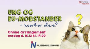 Ung og EU-modstander - hvorfor det?