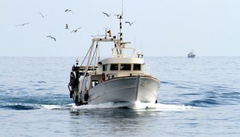 Fiskekutter Sejler I åbent Vand. Foto: Shutterstock 399430669