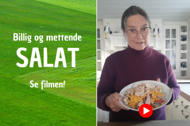 Kirsten lager billig og mettende salat, Folkekuren AS