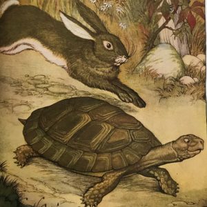 Haren och sköldpaddan