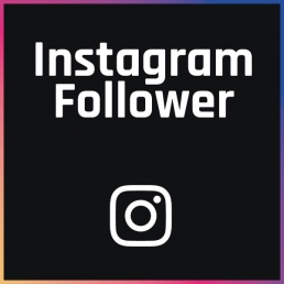 FollowerPilot Instagram Follower kaufen