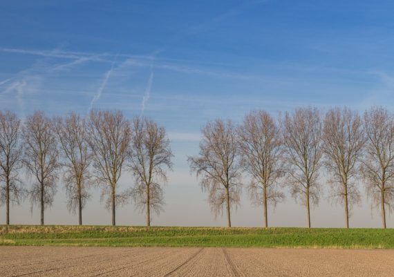 Zeeuws Vlaanderen