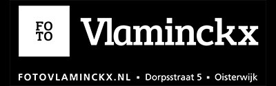 Vlaminckx