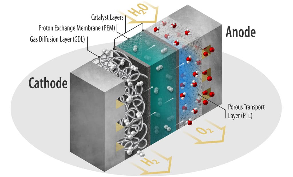 Hydrogen Crossover Analysis In PEM Electrolysis Cells
