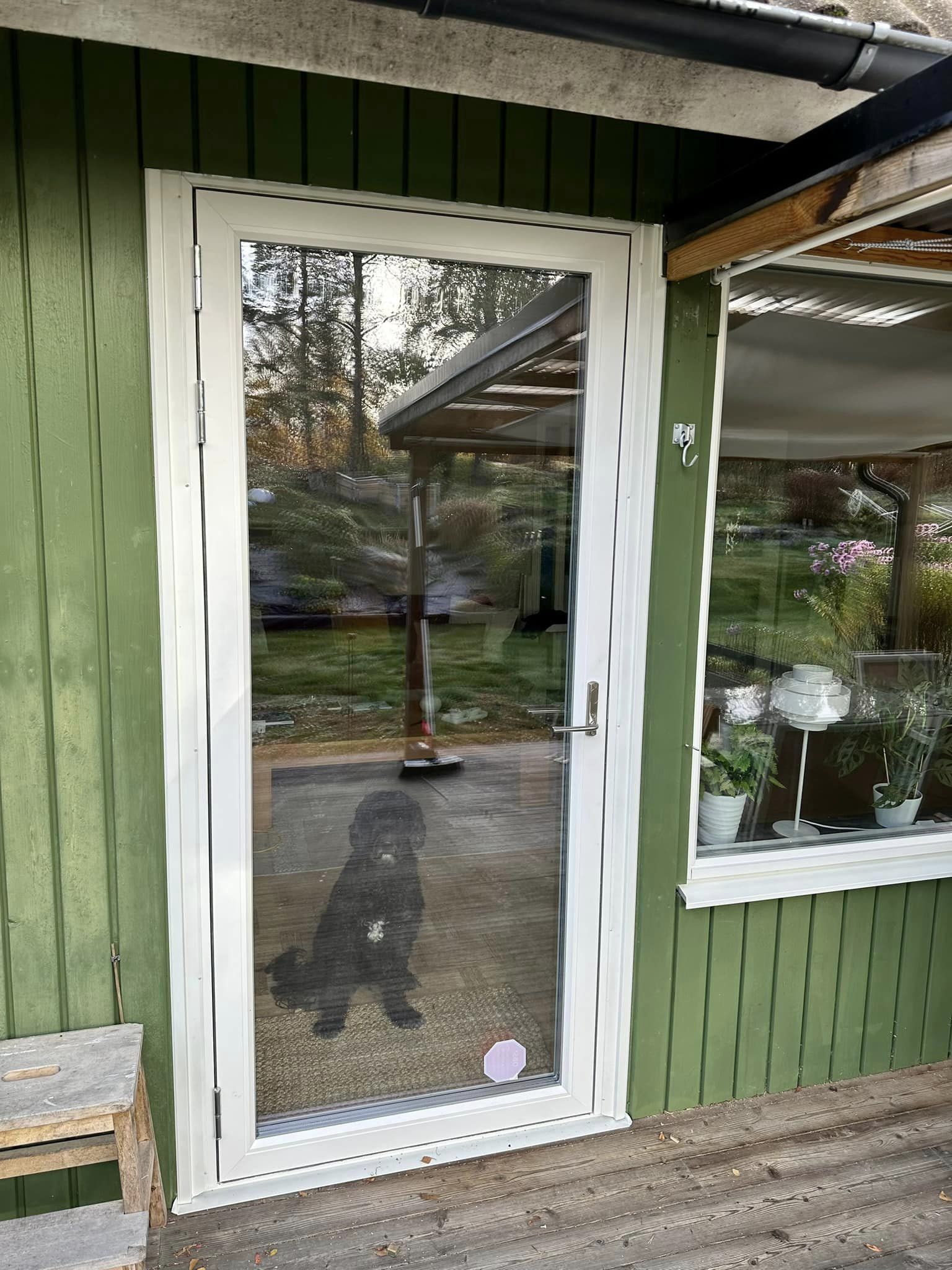 Specialiserade på {{mpg_tjanst}} i {{mpg_omrade}}