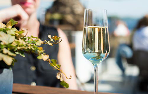 food fellas restaurant am Steinplatz secret grapes kulinarische sommertipps