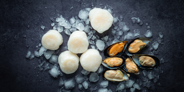 frozen-shellfish-mussels-shellfish-seafood