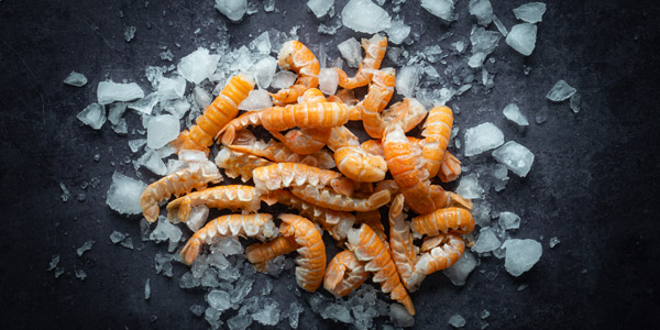 frozen-shellfish-lobster-nordic-langustine