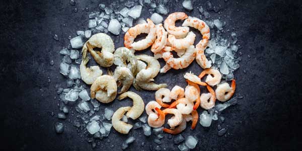 frozen-shrimps