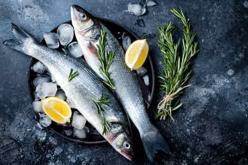 wholesale seafood supply