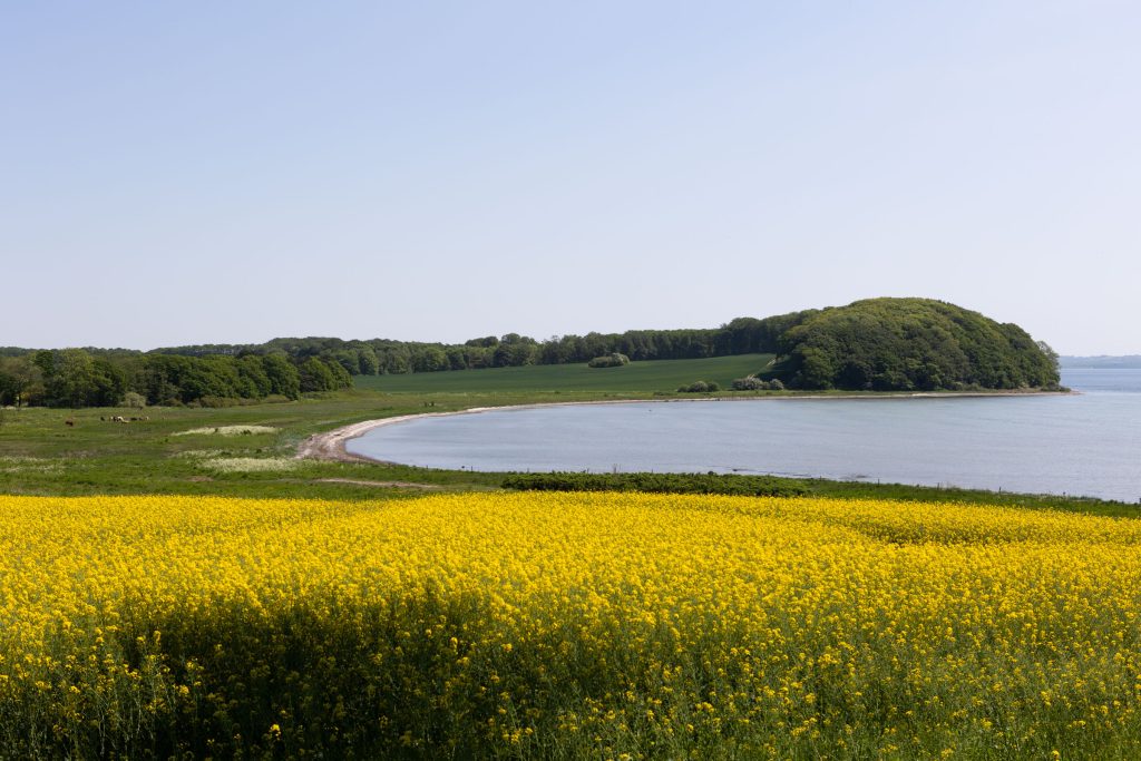 Vosnæs Pynt