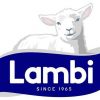 Lambi