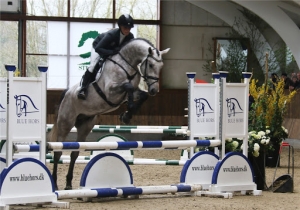 blue hors