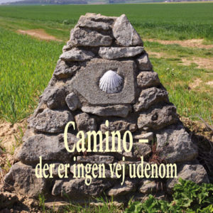 Camino - der er ingen vej udenom