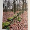 Hisingen - ön i gränslandet - Bild 3