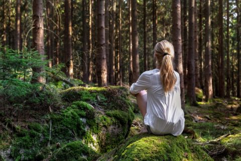 Reflektionstid i skogen