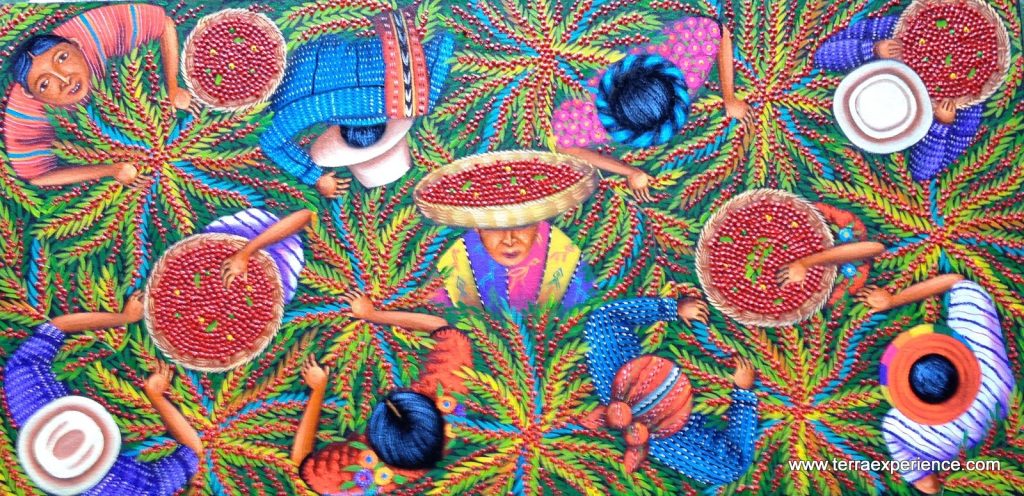 Denna bild har ett alt-attribut som är tomt. Dess filnamn är Mayan_Paintings_Guatemala_2017_Angelina_Quic_P_L_AQ_17E-Coffe-harvest-1-2-1024x496.jpg