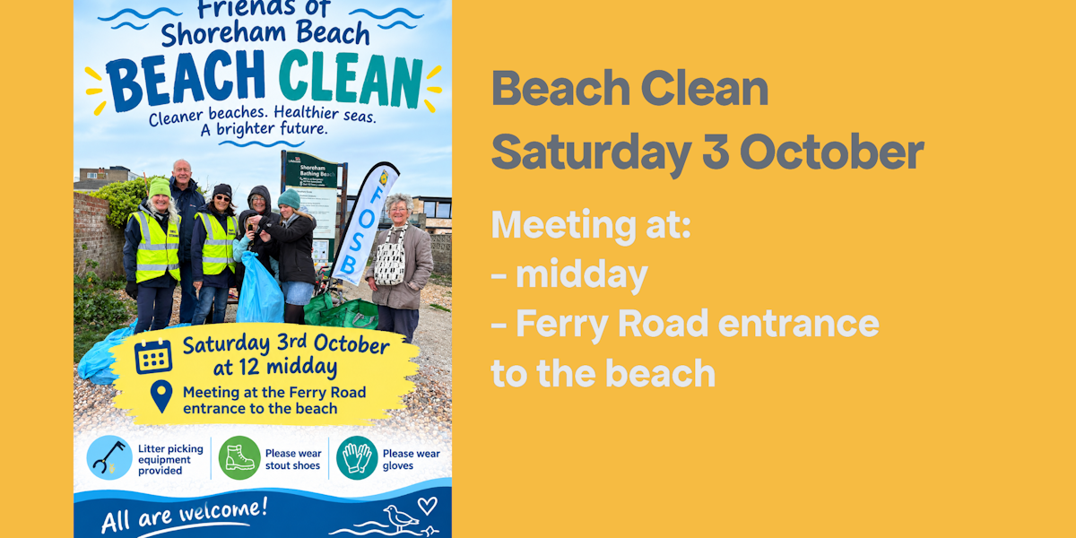 Oct 26 beach clean