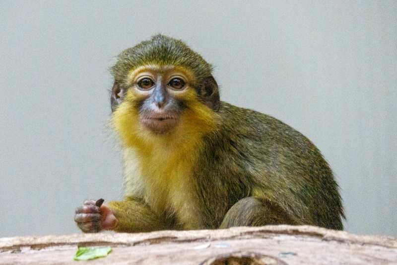 IMG_2942-origineel-b-web