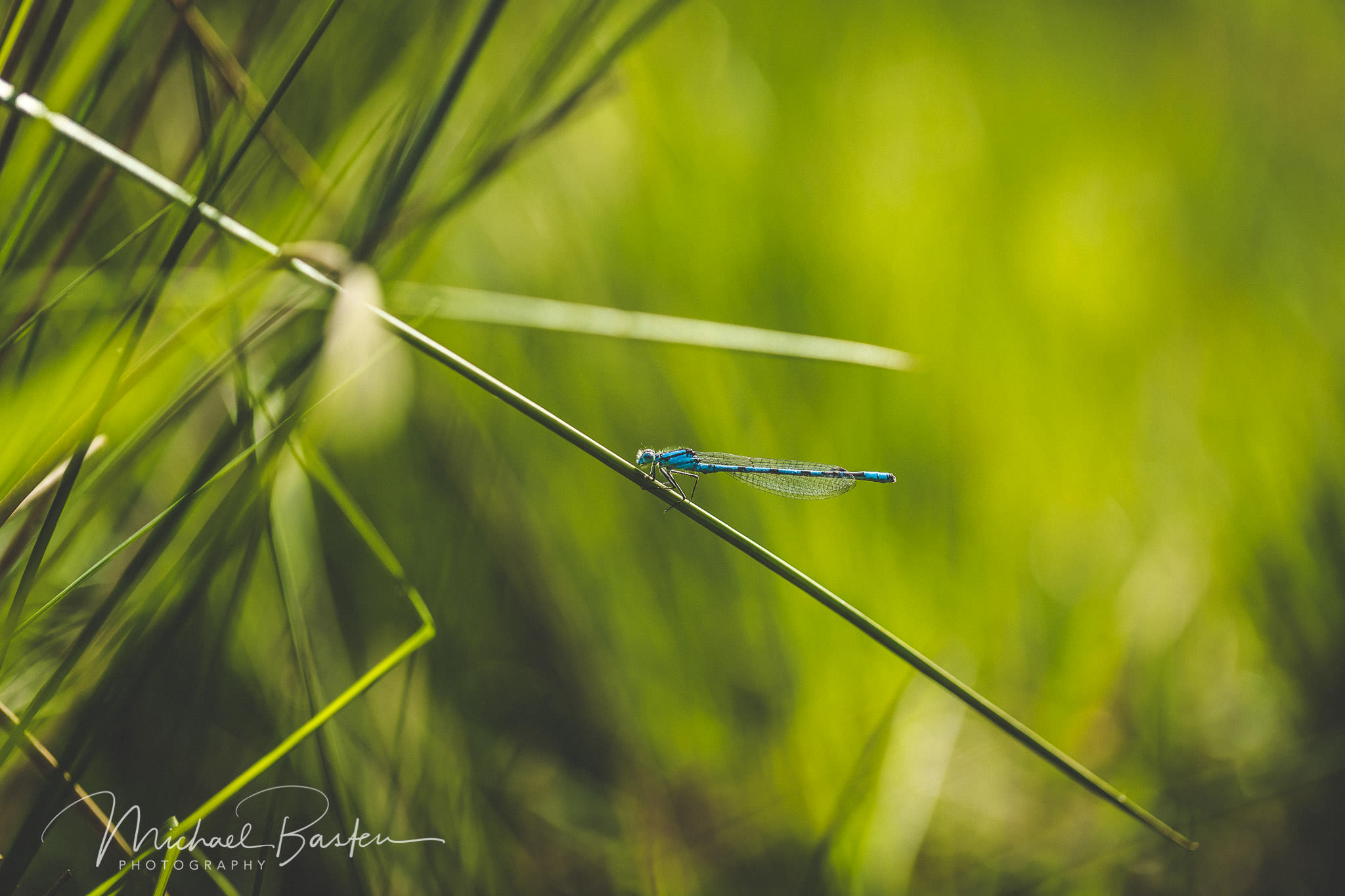 Vervolgcursus-fotografie-nijmegen-doetinchem-praktijkles-creatieve-fotografiecursus