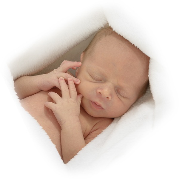 newbornfotografie_9 newbornfotografie