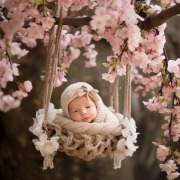 Digitale achtergronden kopen voor babyfotografie