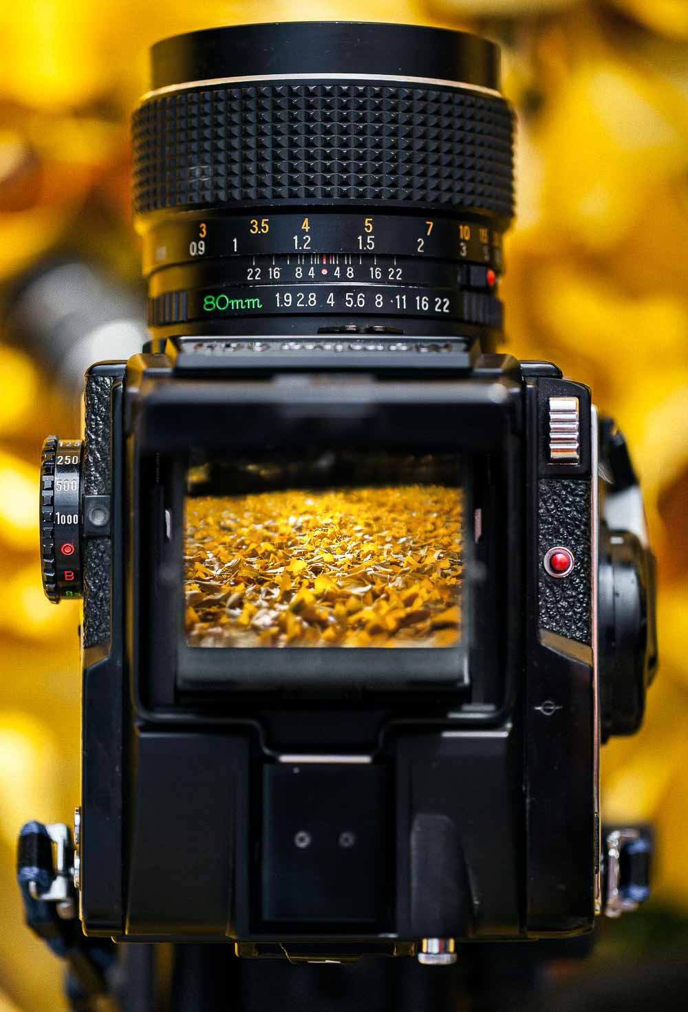 FULLFRAME KAMERA