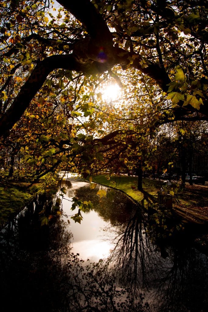 Fotograferen met tegenlicht