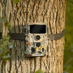 Beste wildcamera