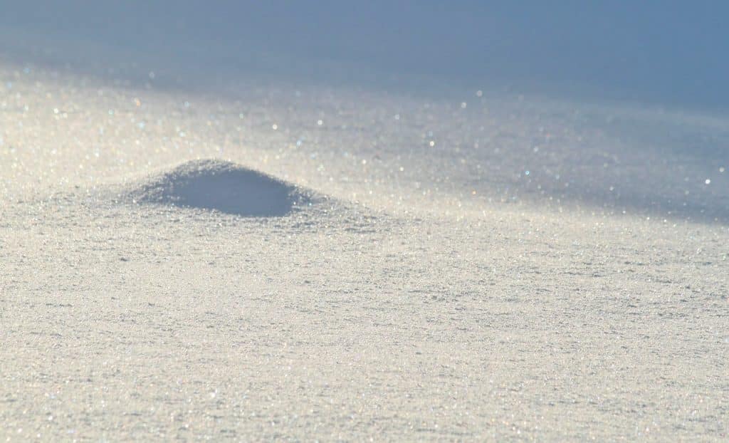 Fotograferen in de sneeuw