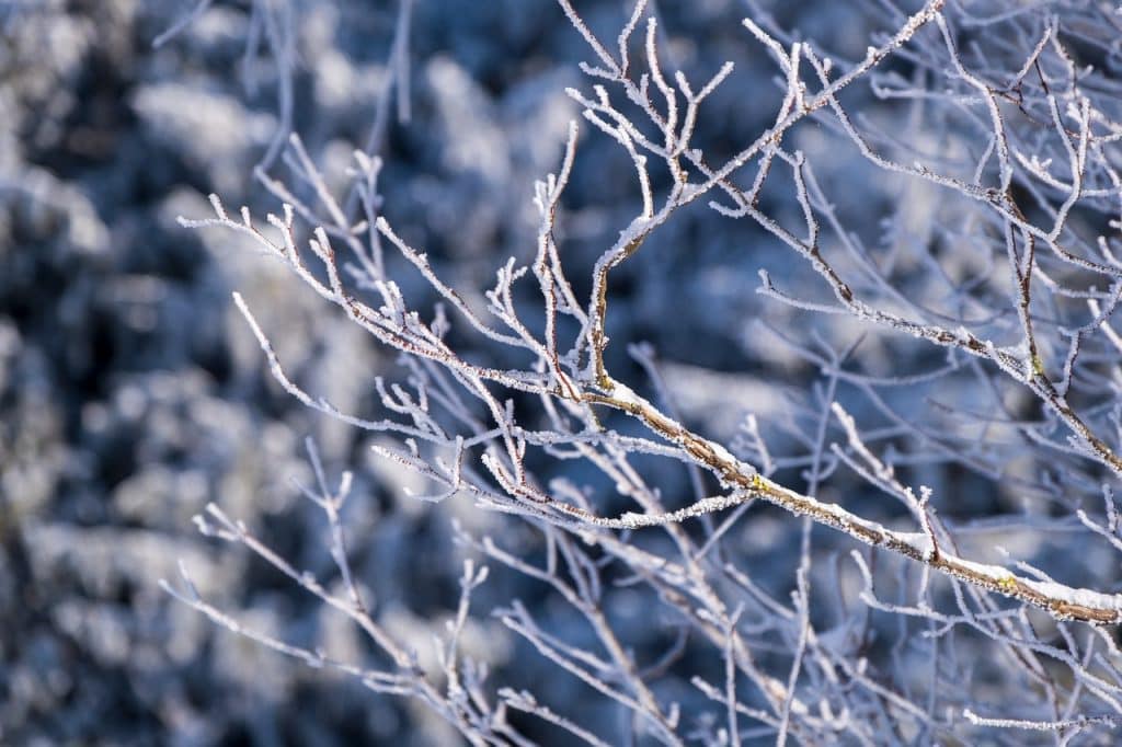 Fotograferen in de sneeuw