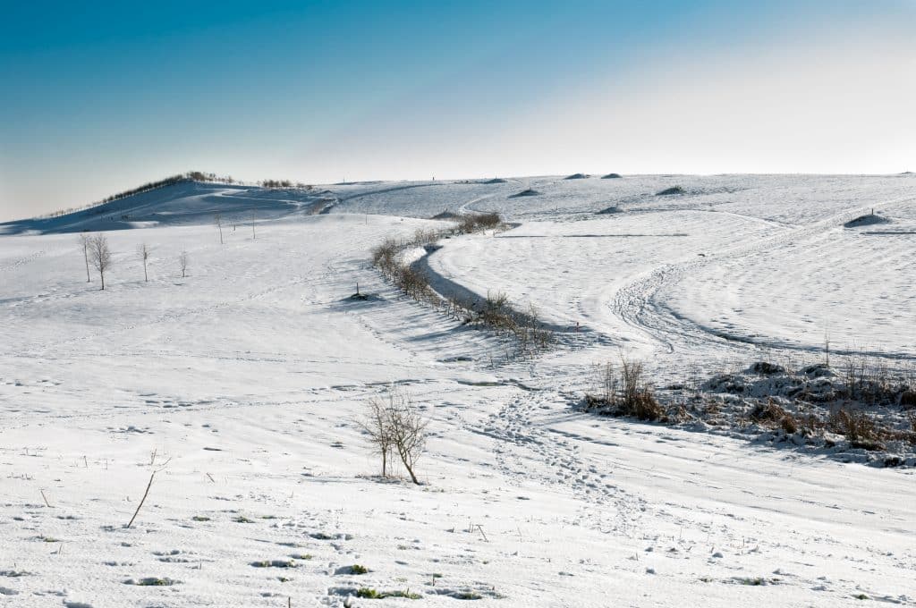 Fotograferen in de sneeuw