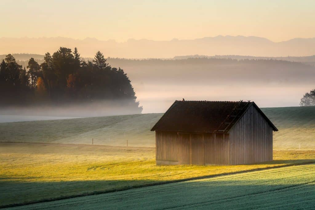 Mist fotograferen