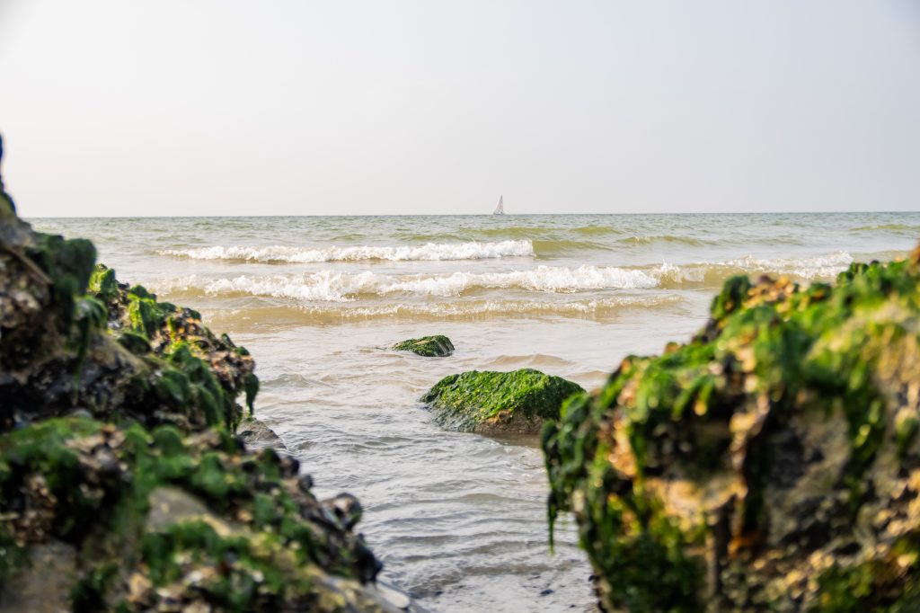 afscheids- en rouwfotografie: Een rustige zee met zacht kabbelende golven en met algen bedekte rotsen op de voorgrond, die sereniteit en de eeuwige stroom van afscheid symboliseren, met in de verte een zeilboot die langzaam aan de horizon verdwijnt.