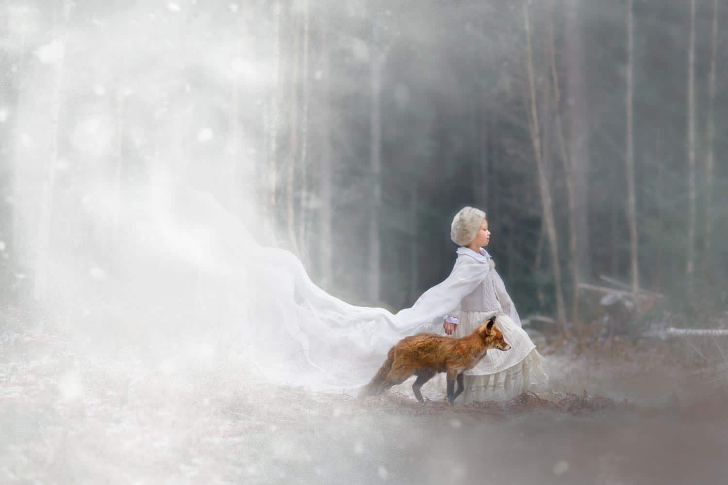 Sagofotografering Vinter fox Fotograf Maria Lindberg