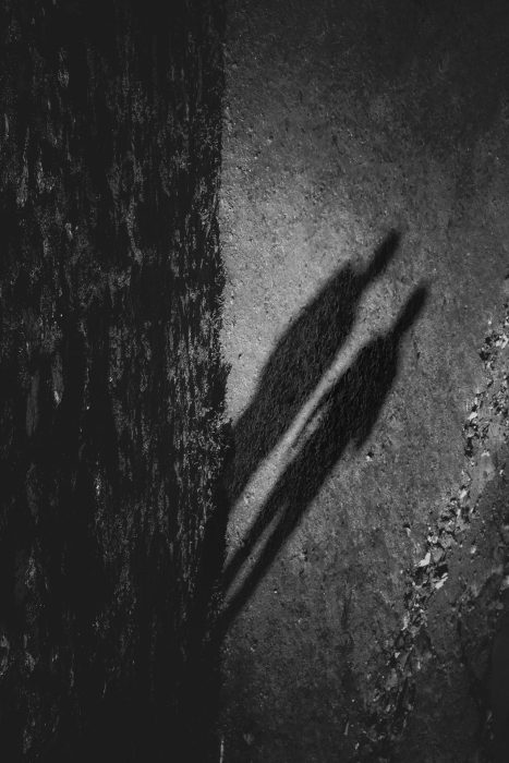 2026-02 (MP) 3 Caroline Catteeuw - Stille ontmoeting