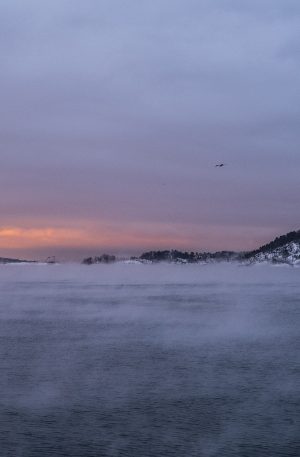 Indre Oslofjord like ved operaen i Oslo på en ekstremt kald vintermorgen