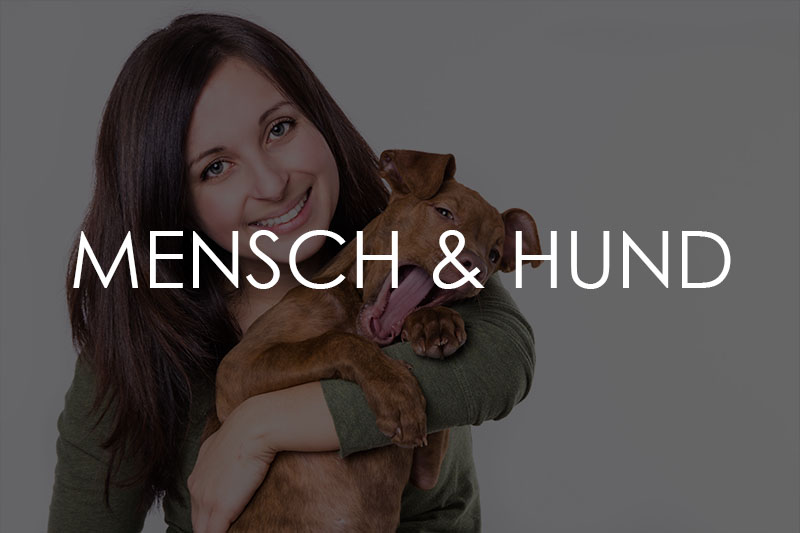 Galerie Mensch und Hund