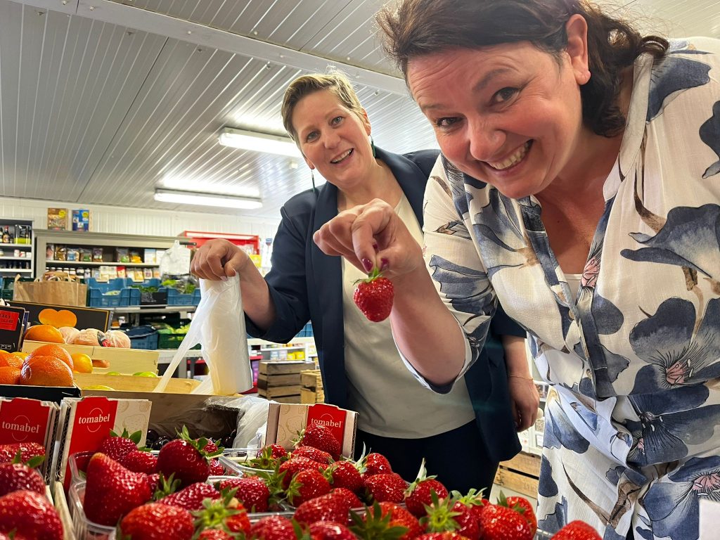 Hoevewinkel bij Delmotjes