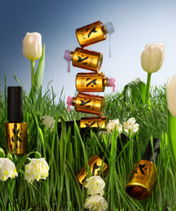 Spring