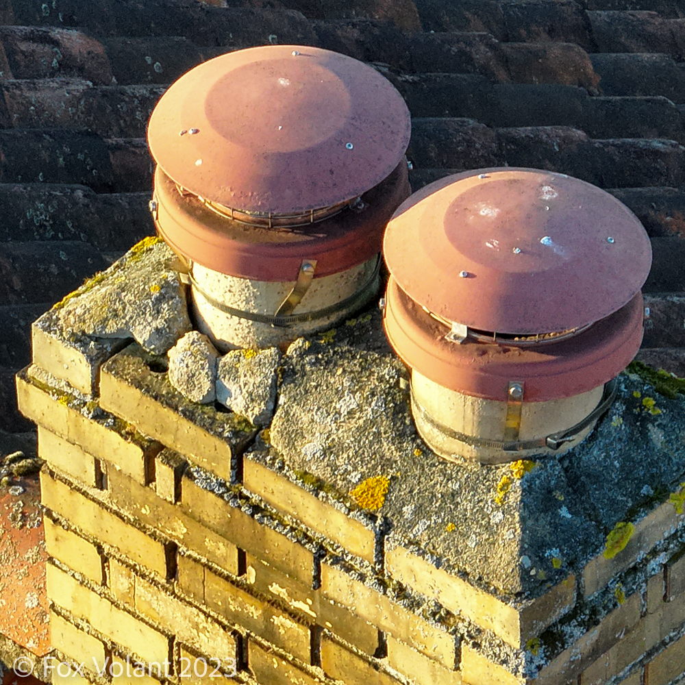 Chimney pots and damaged flaunching found during building inspection.