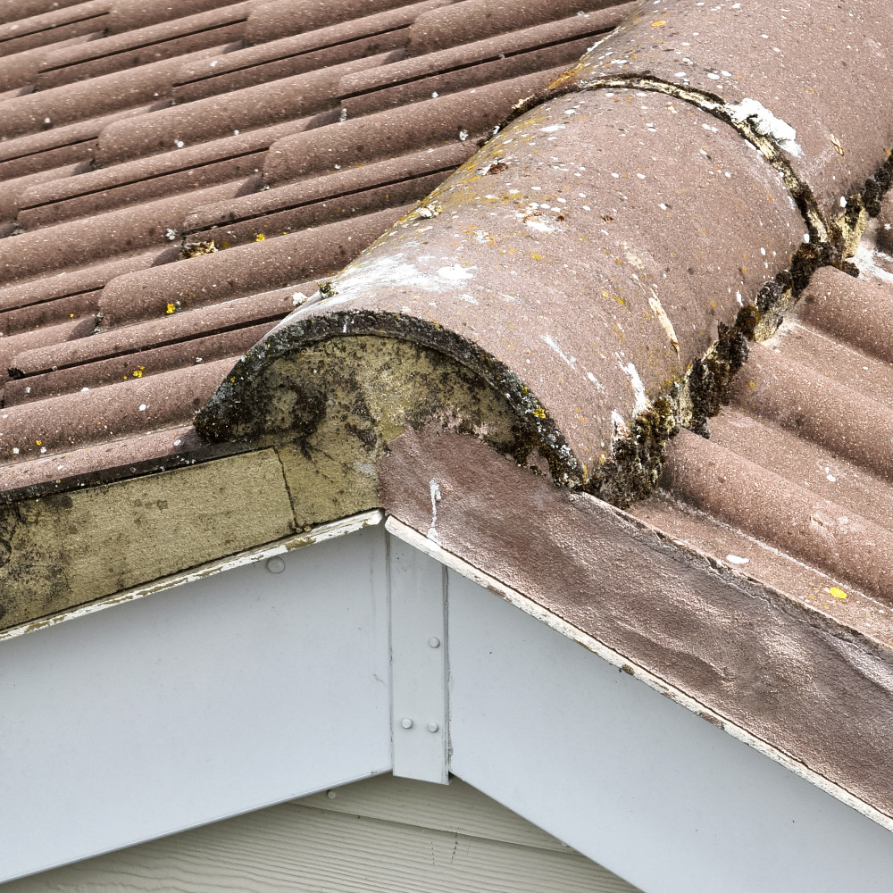 Close up of ridge tiles taken during roof inspection.