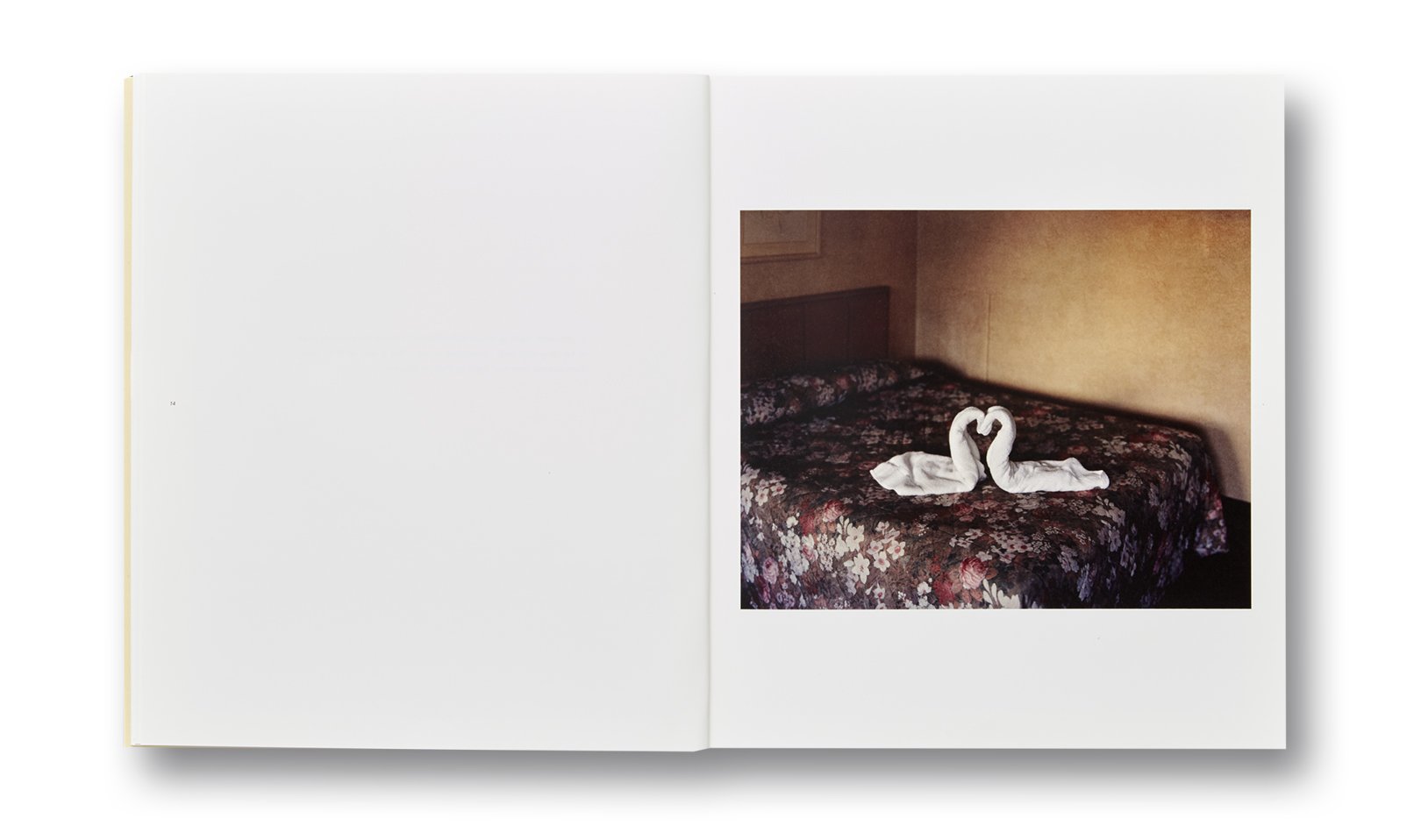 アート・デザイン・音楽 Alec Soth / Niagara NIAGARA by Alec Soth [SPECIAL EDITION] – twelvebooks