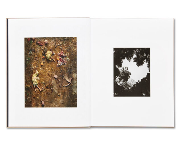 Sophie Calle 'Blind' - Fragment